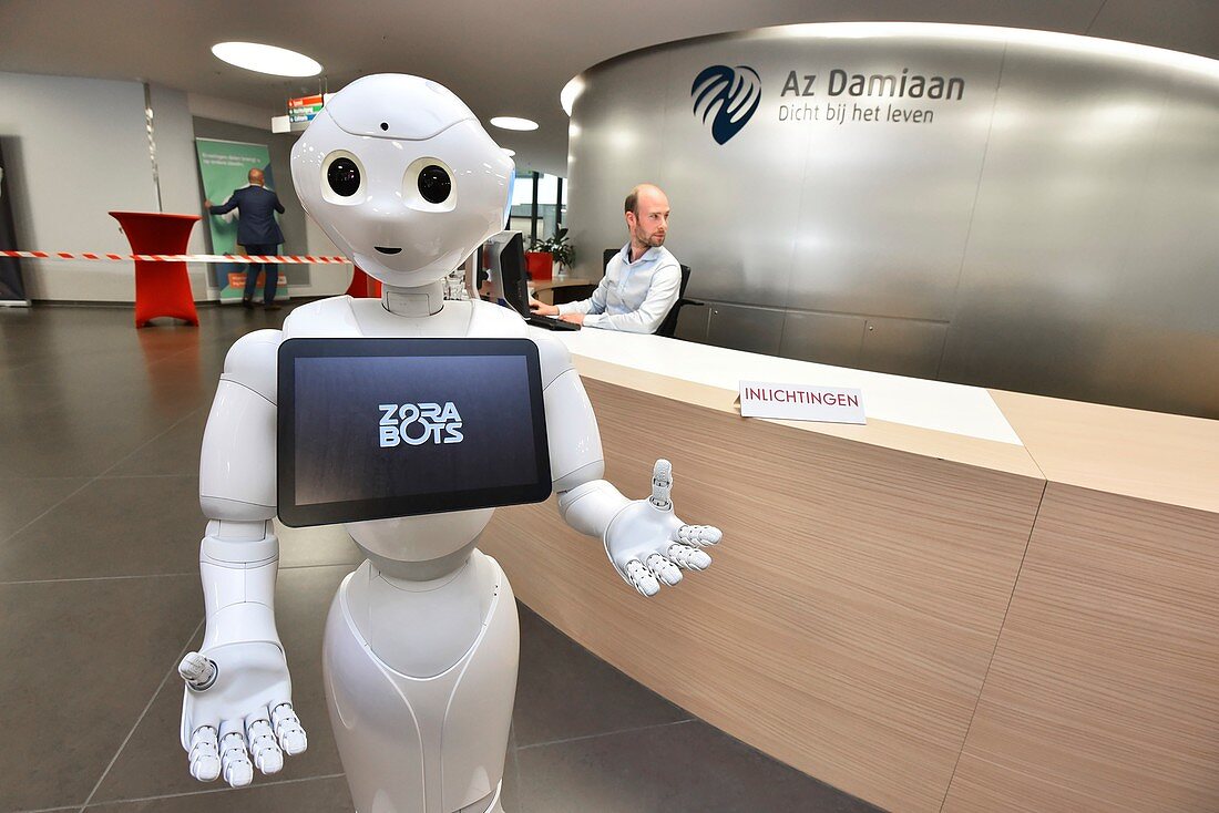 Pepper human interaction robot
