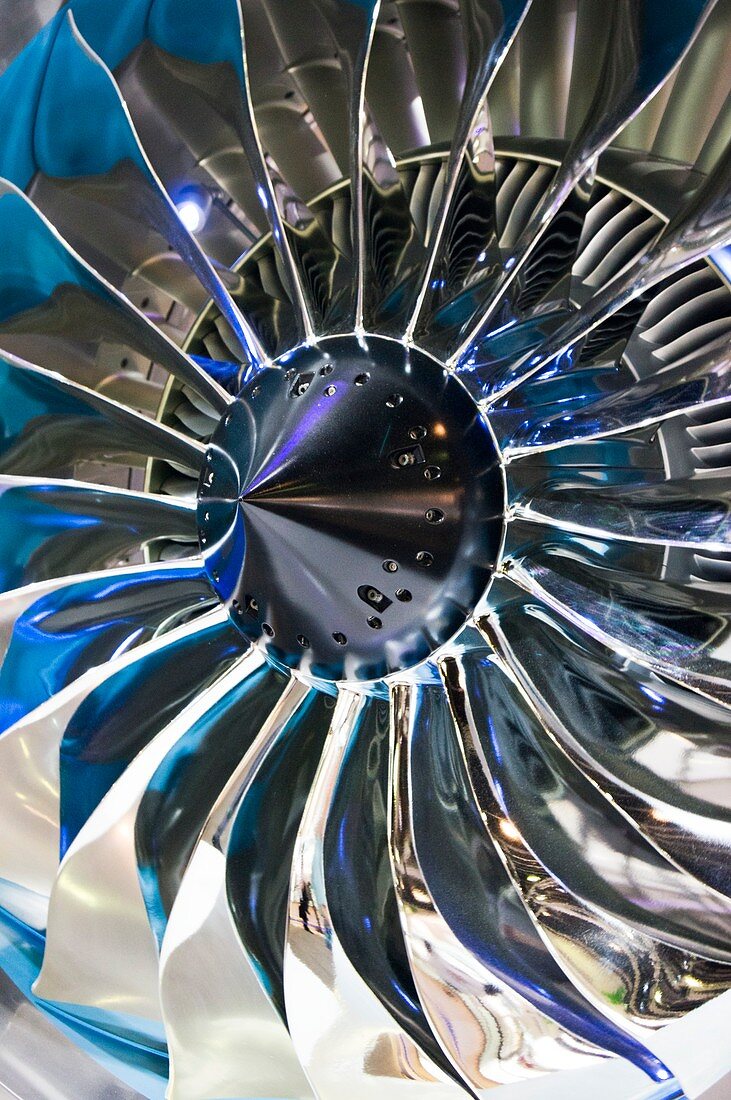 Aircraft engine fan