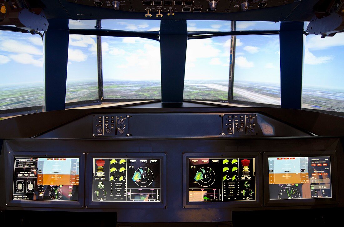 Aircraft flight simulator