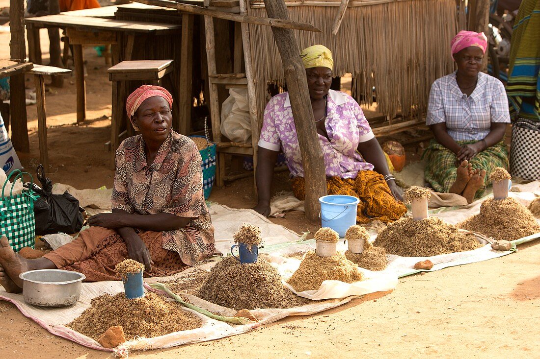 Women trading farm crops