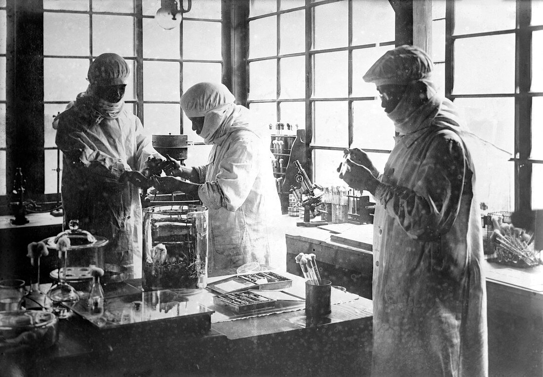 Bacteriology research, 1910s