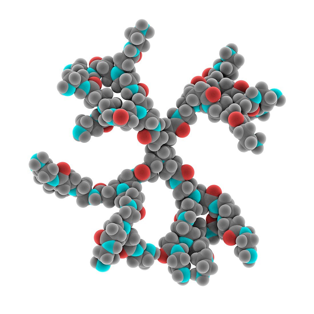 Dendrimer, molecular structure