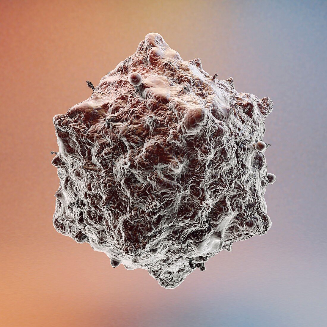 Biocidal virus, molecular model