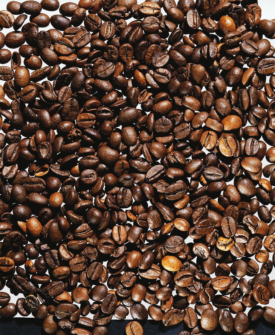 Still Life of Coffee Beans