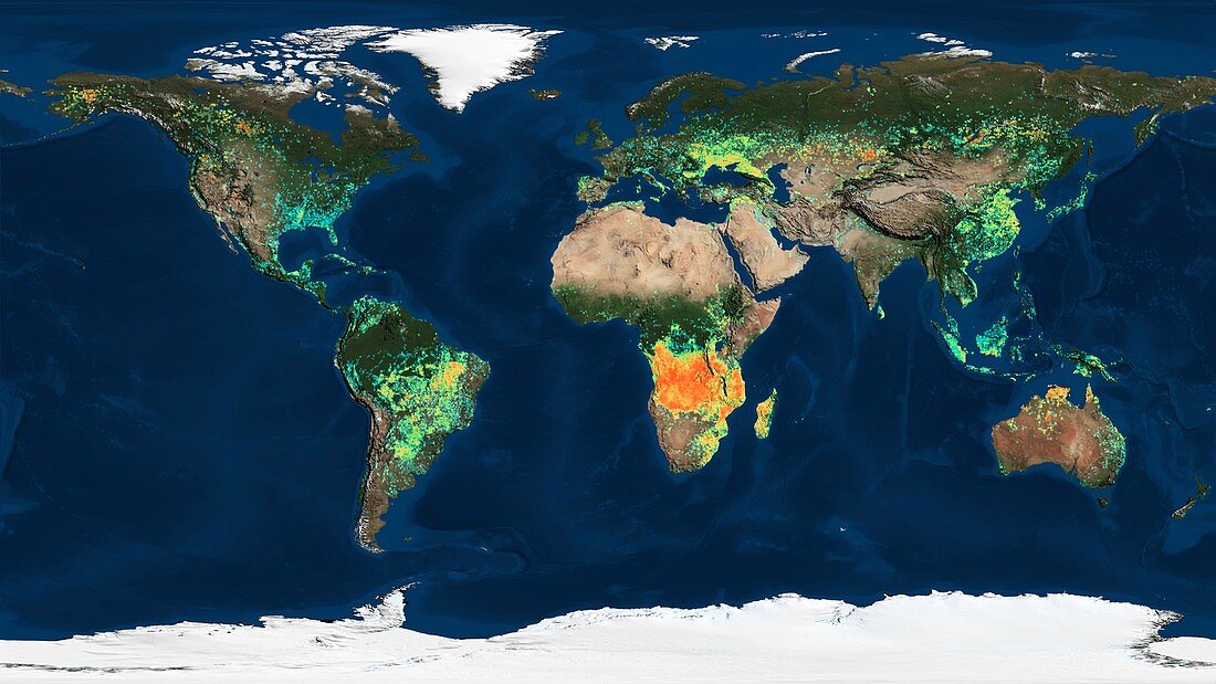 Global burned areas, satellite map