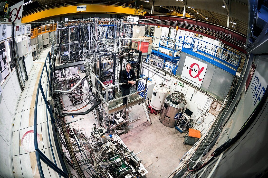 ALPHA experiment at CERN