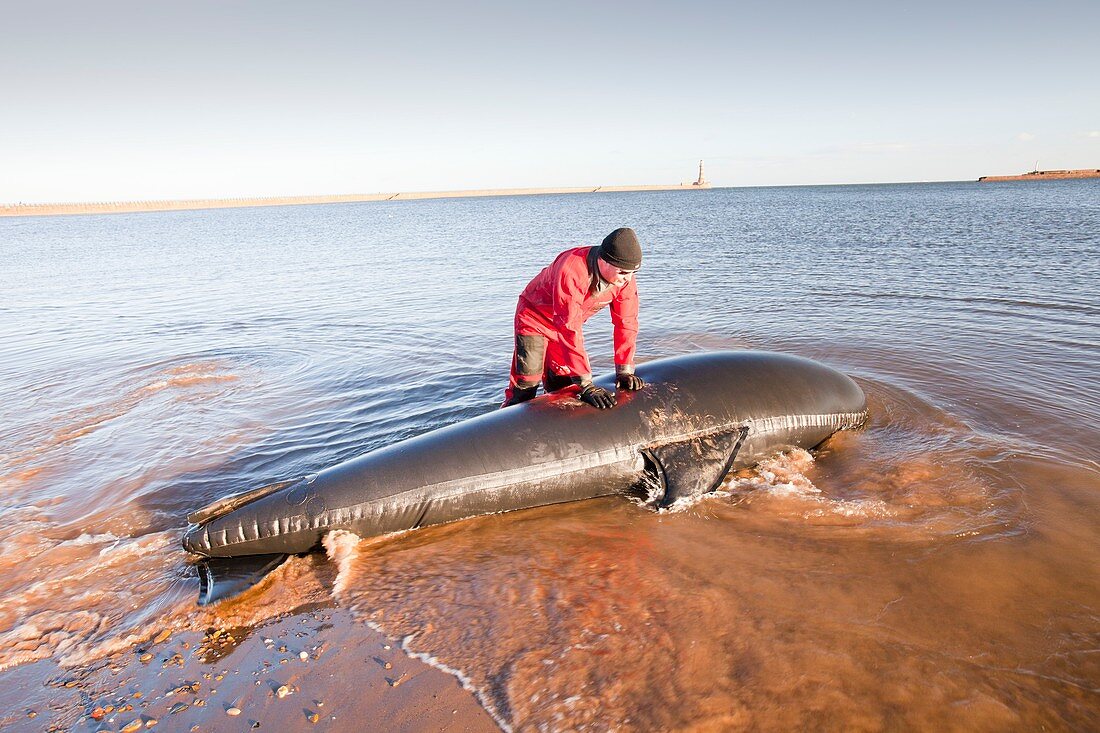 Marine wildlife rescue service training