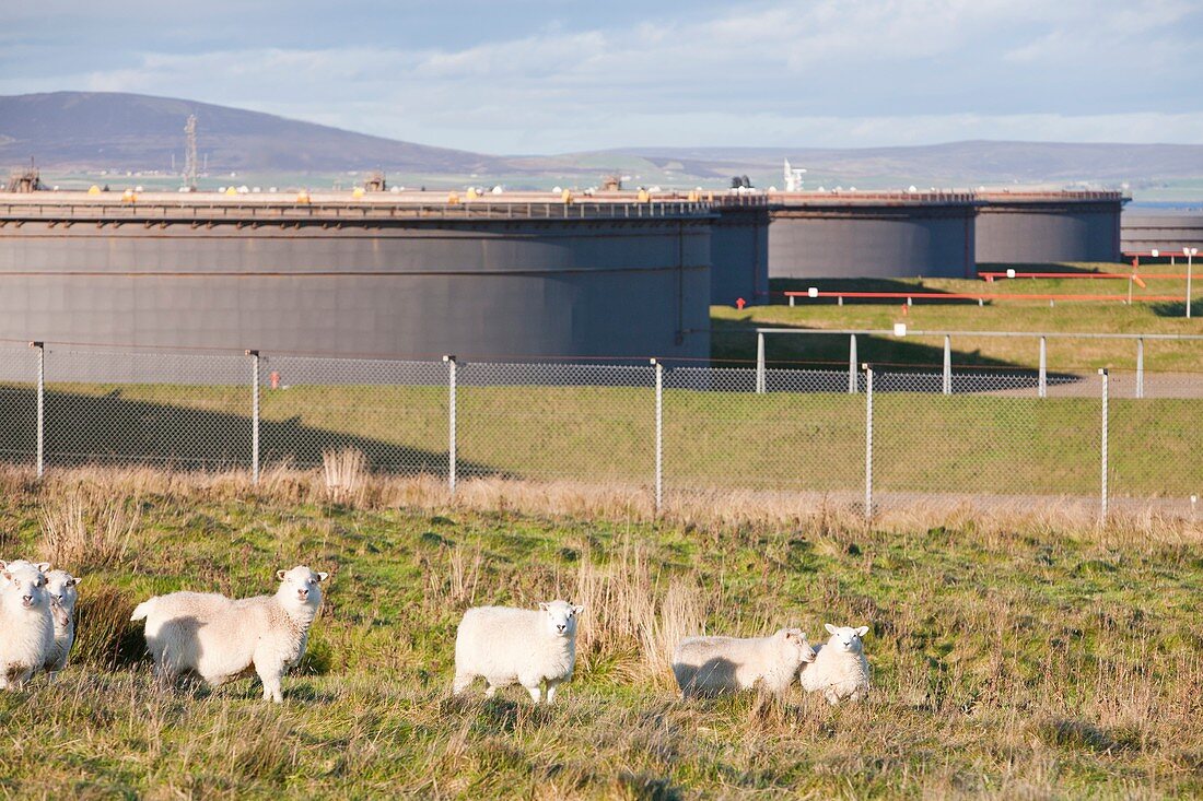 Flotta oil terminal,Orkney,UK