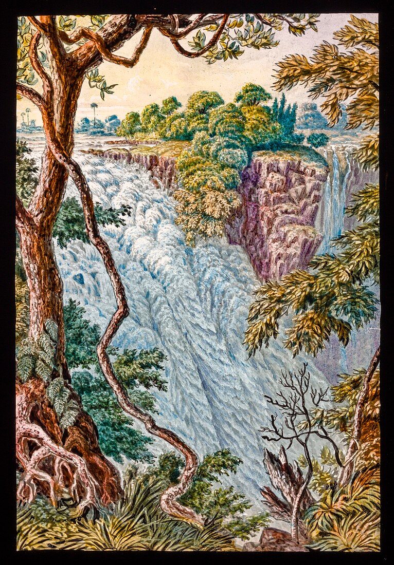 Victoria Falls and island,19th century
