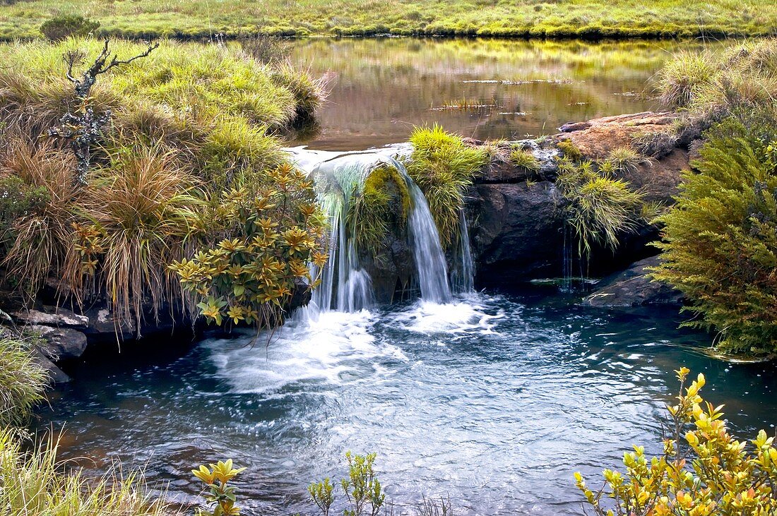 Waterfall and pool,India