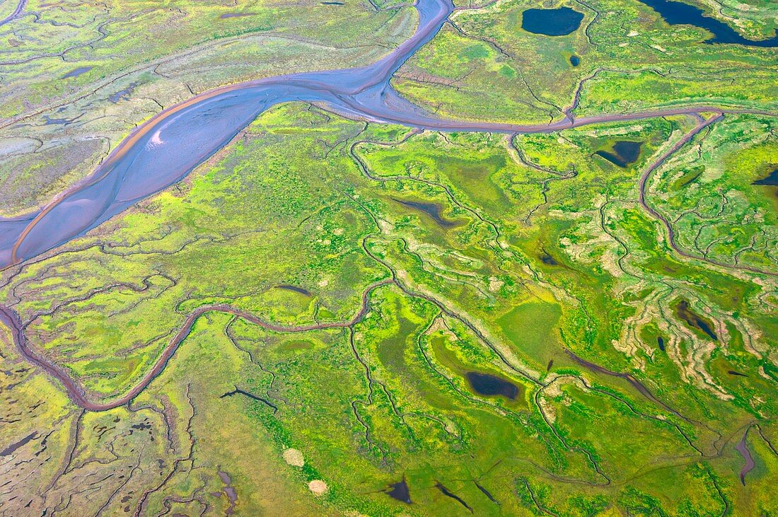 Salt marshes from the air