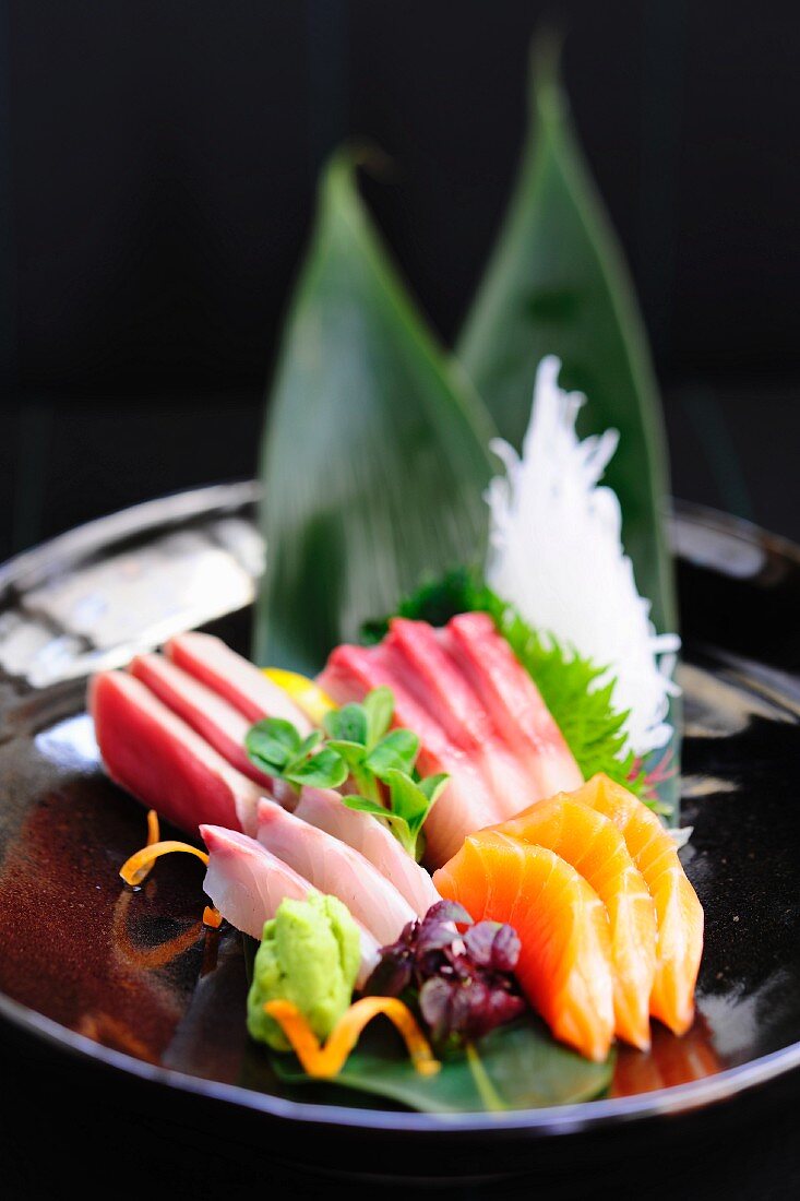 Raw fish sashimi