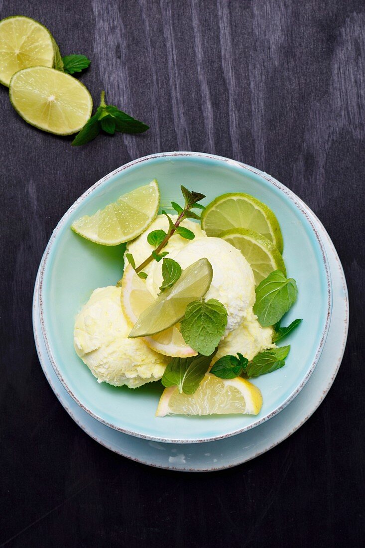 Lemon and lime ice cream with mint