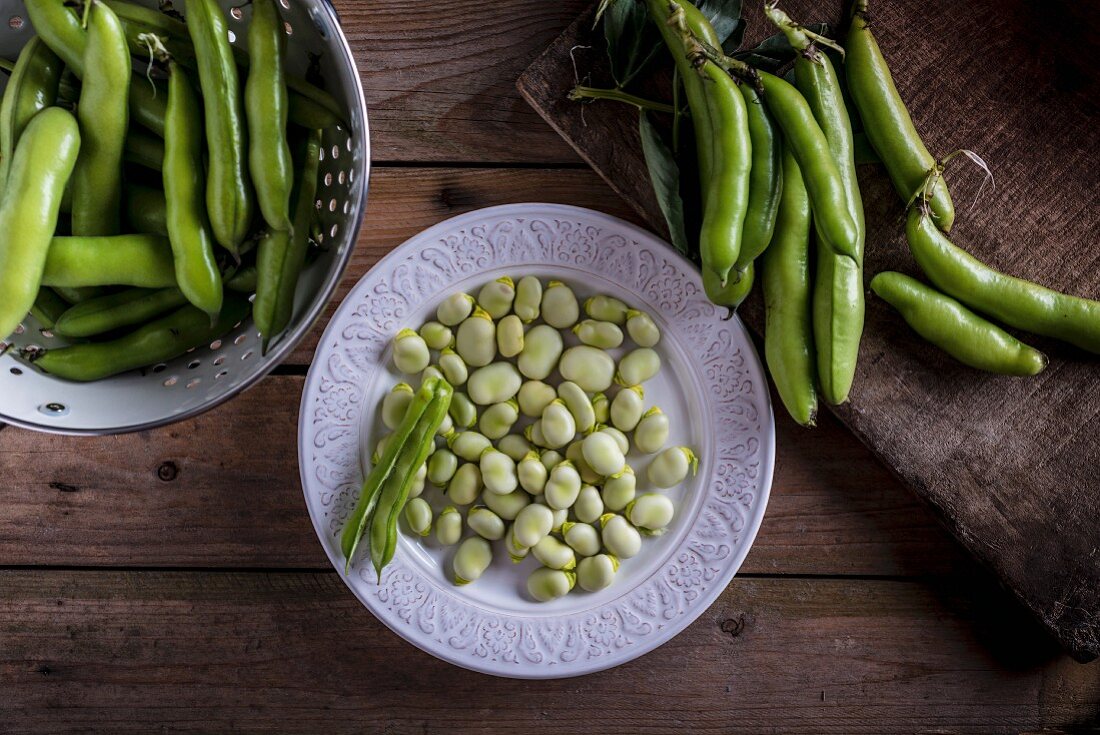 Broad beans pods and shelled broad beans on a white plate