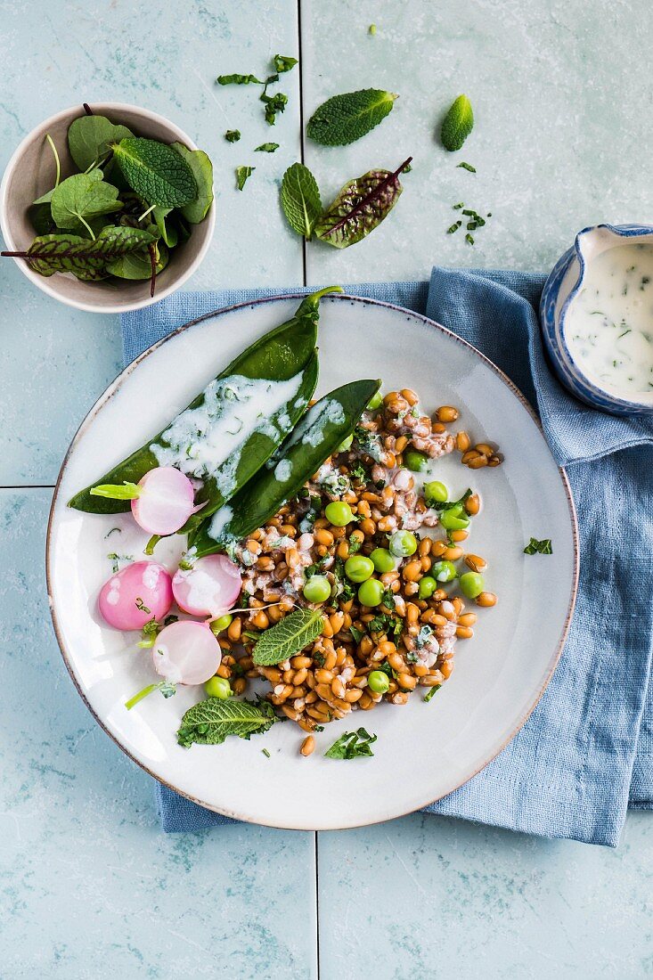 Farro-Erbsen-Salat mit Radieschen und Kräuterdressing