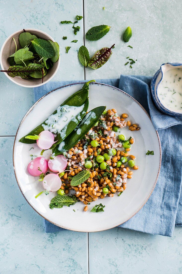 Farro pea salad with radish and herb dressing