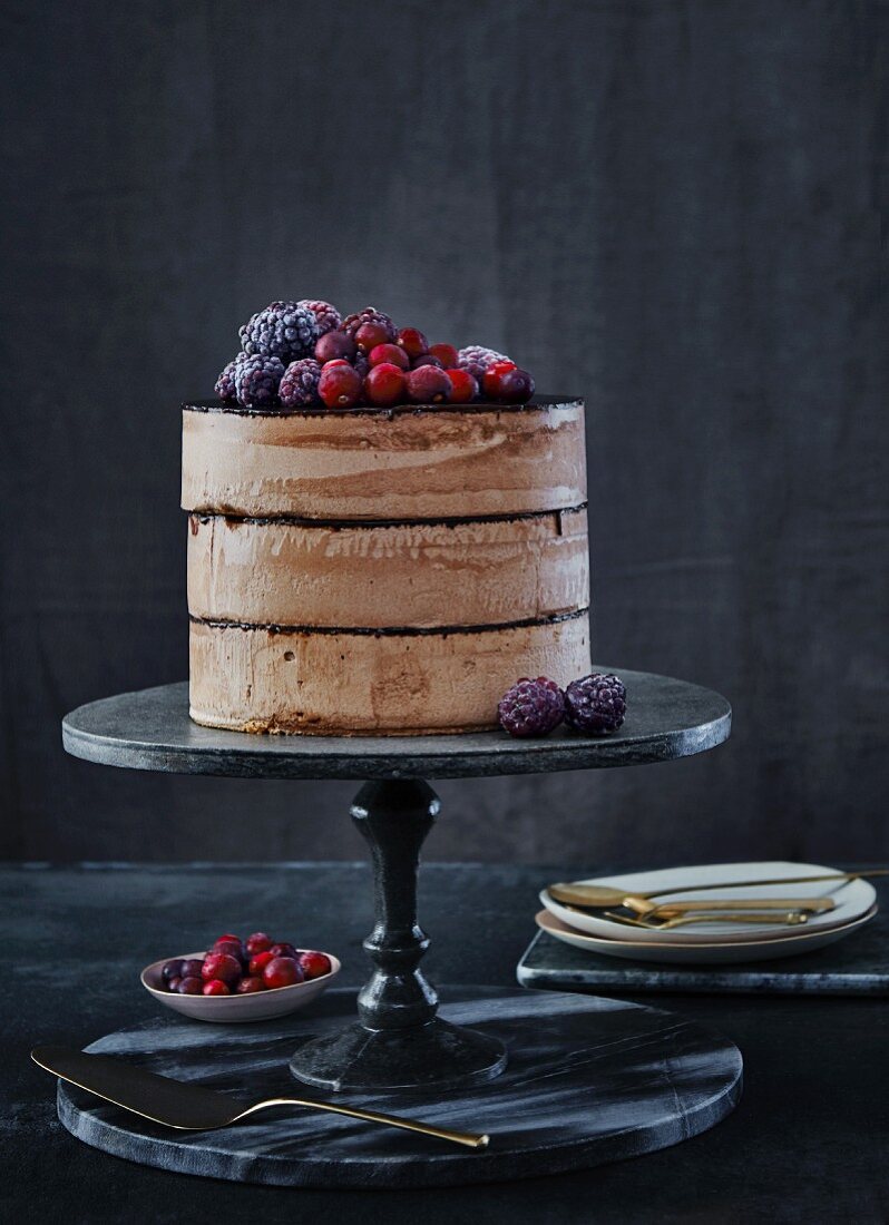 Chocolate cake with chocolate cream, frozen blackberries and cranberries
