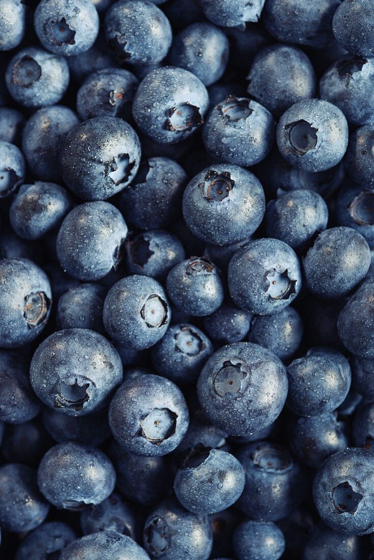 Blueberries (full frame)