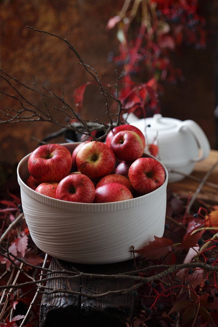 Red apples in a white bowl