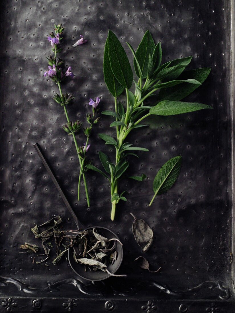 A sprig of sage with flowers on a black surface