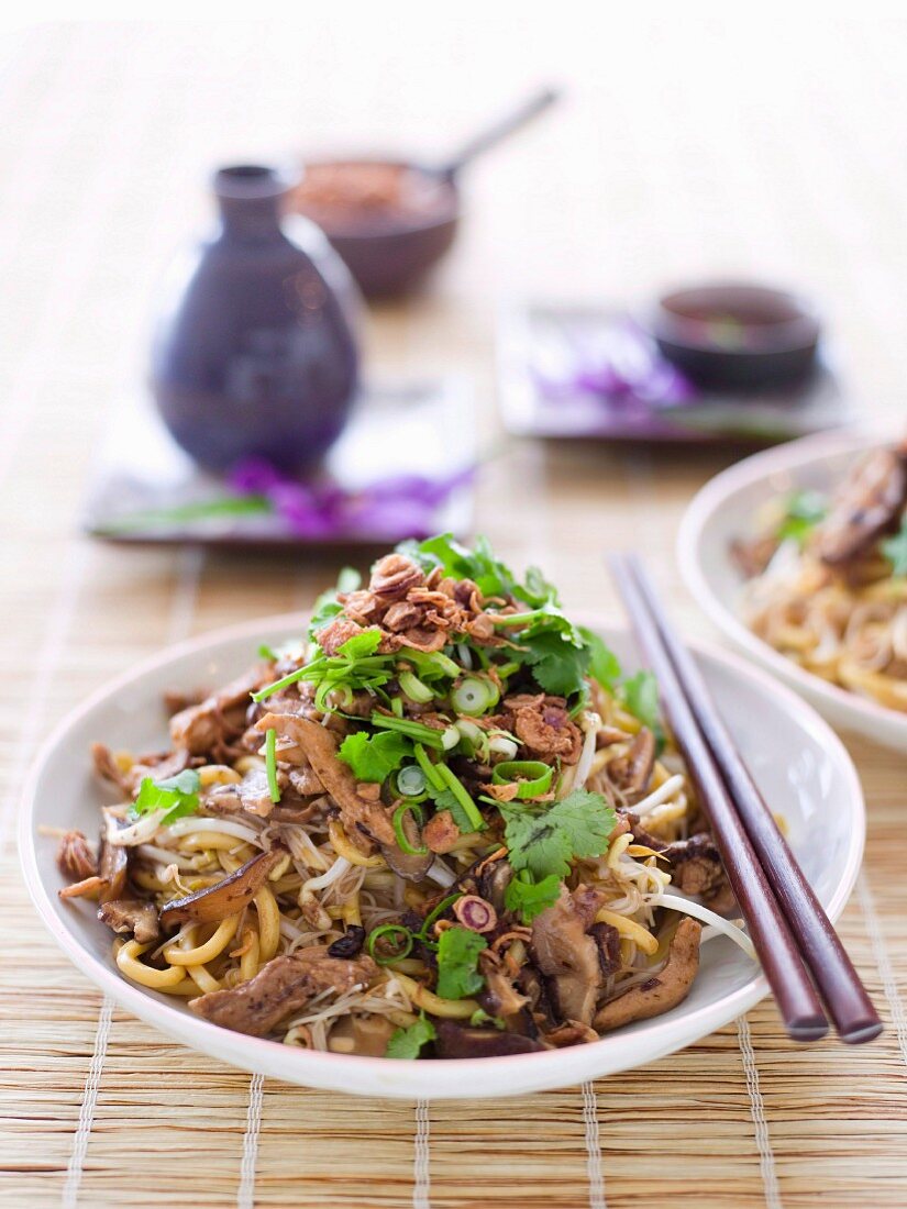 Stir-fried Chicken and Black Bean Mixed Noodles