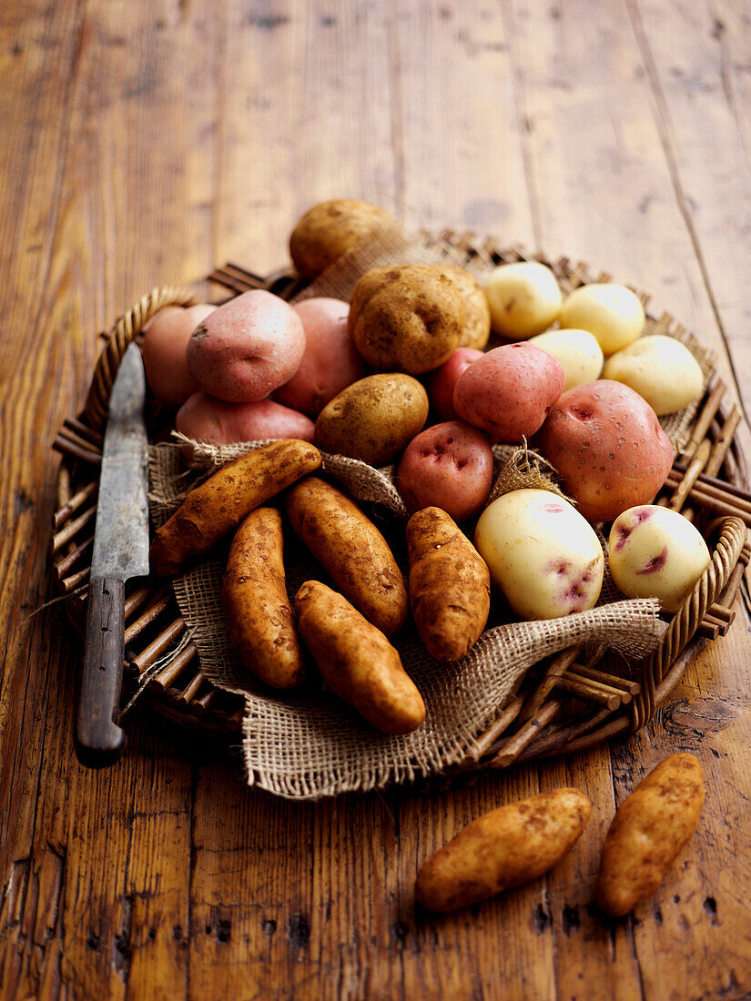 Verschiedene Kartoffelsorten