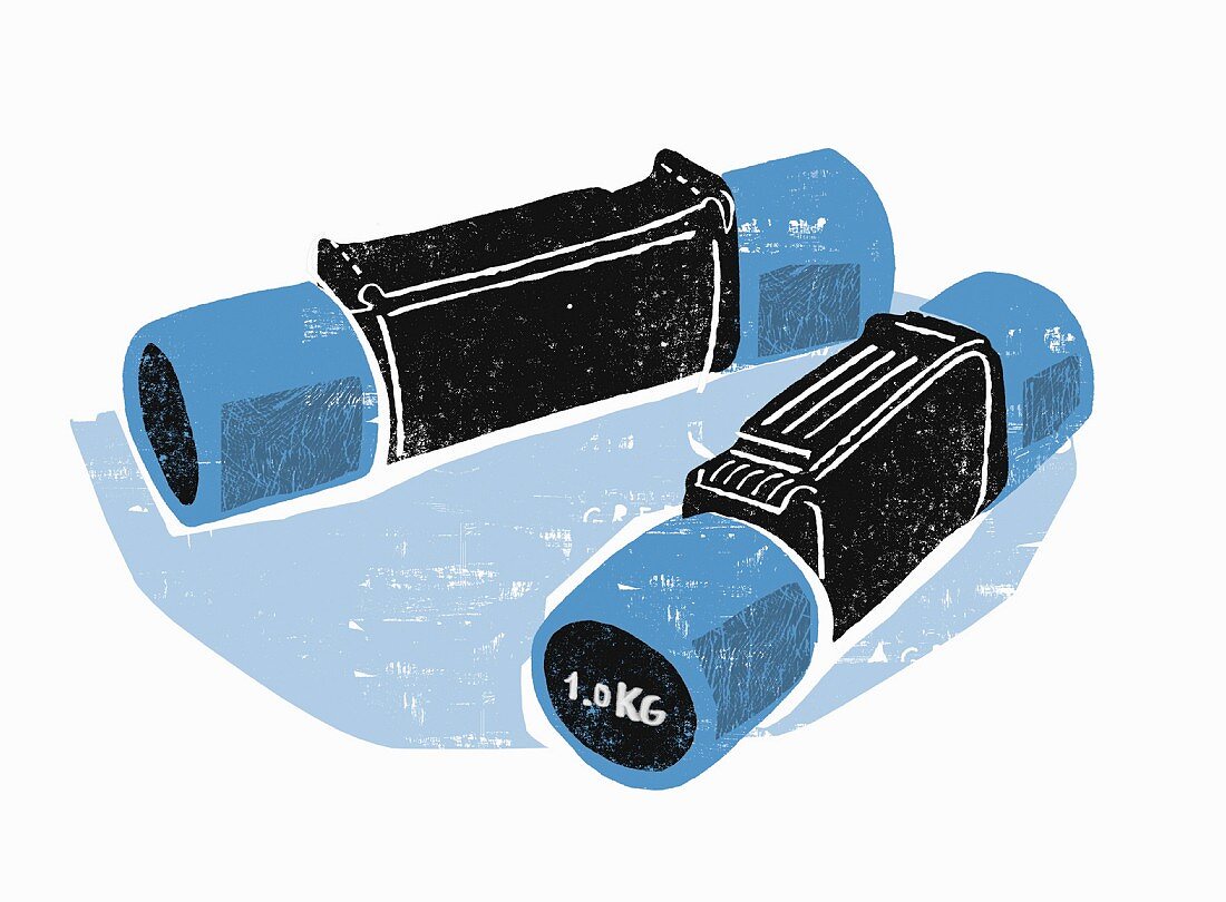 Two dumbbells (illustration)