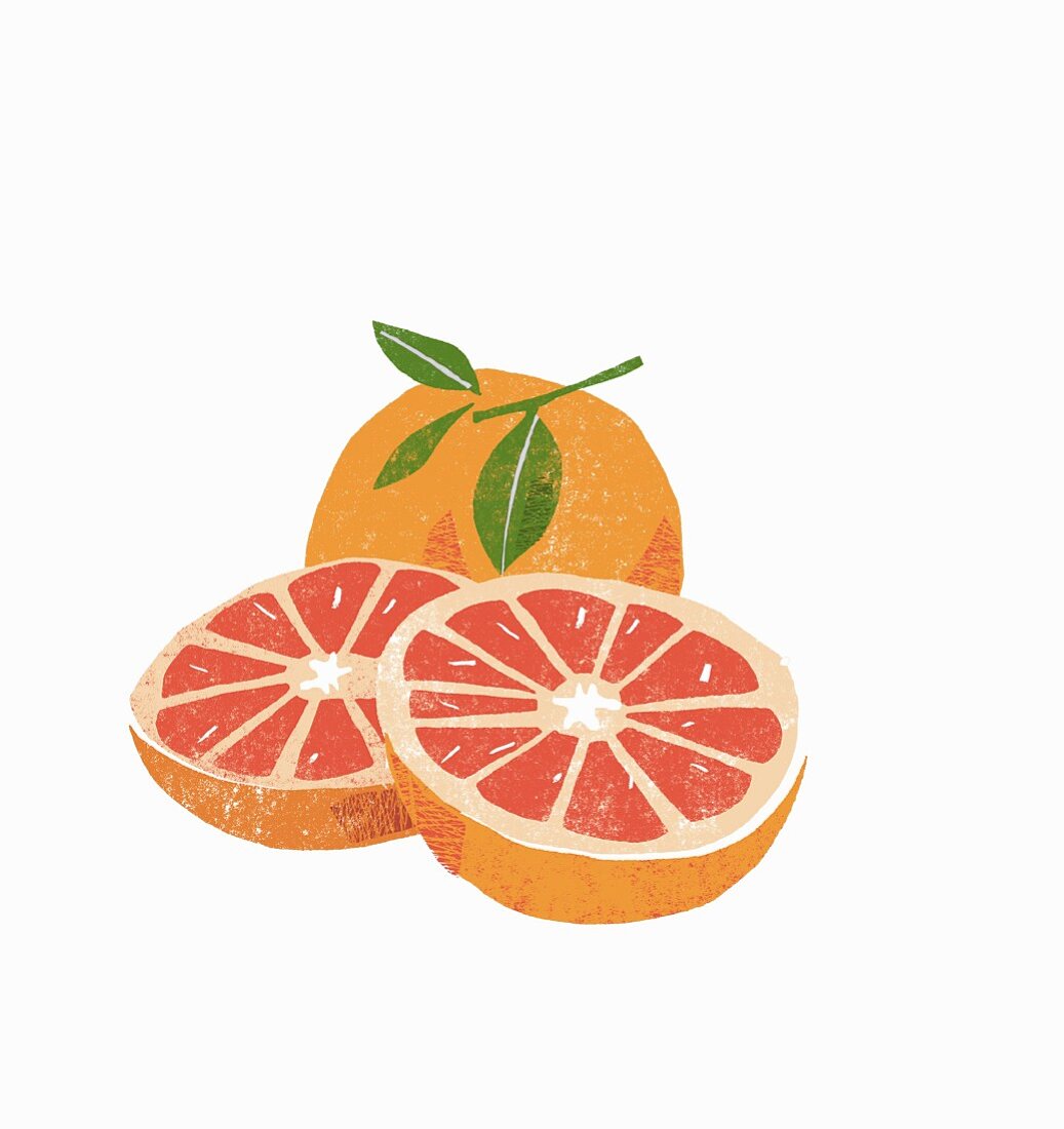 Grapefruit, whole and halved (illustration)