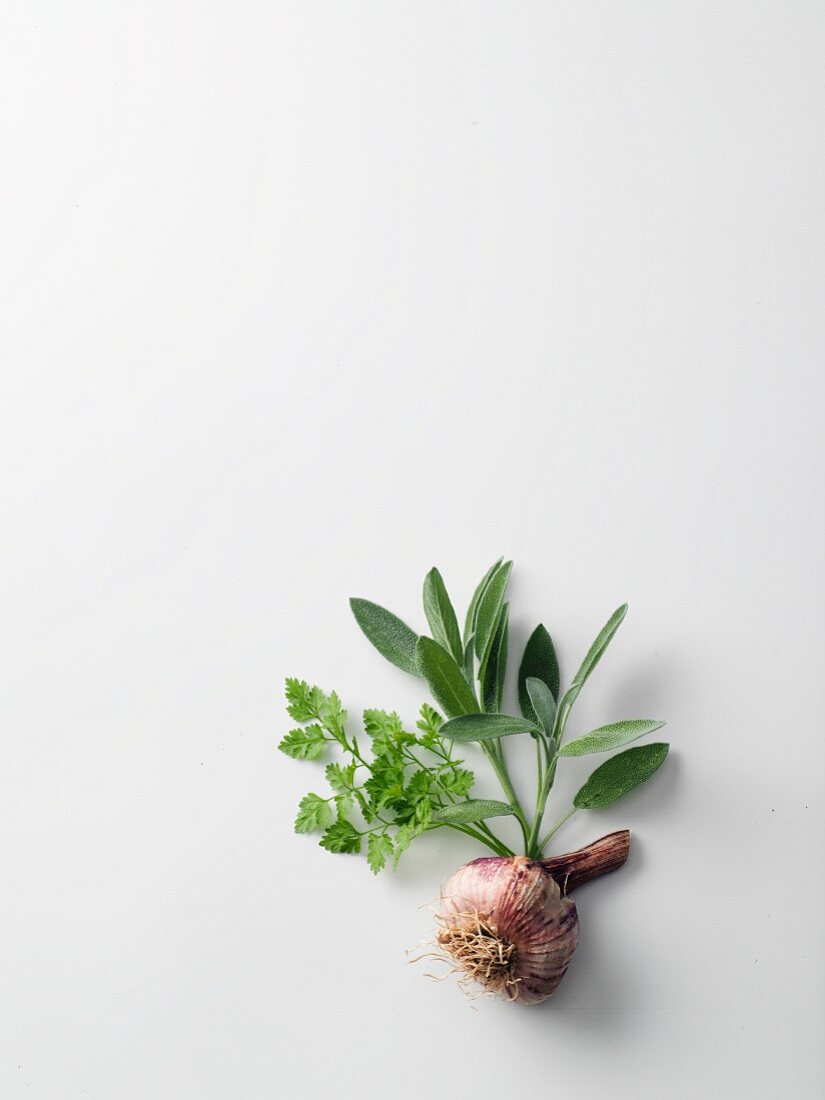An arrangement of chervil, sage and garlic