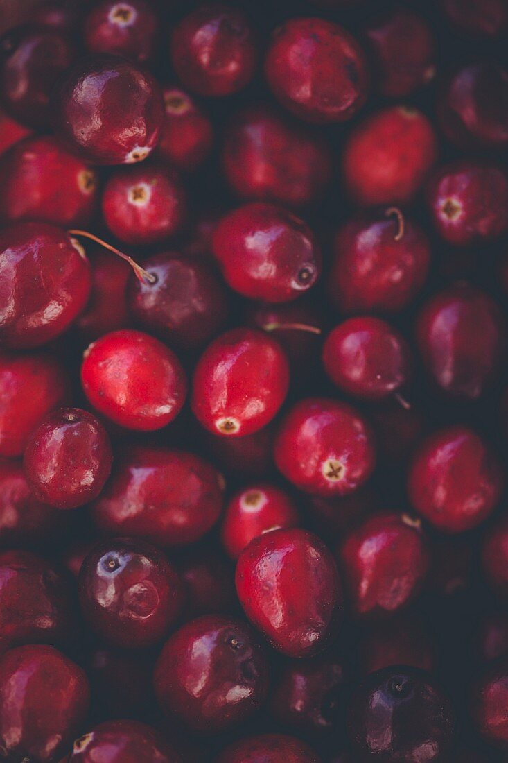Viele Cranberries (bildfüllend)