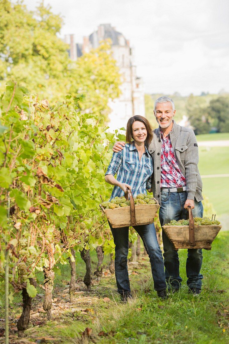 A couple with baskets of freshly picked grapes in a vineyard