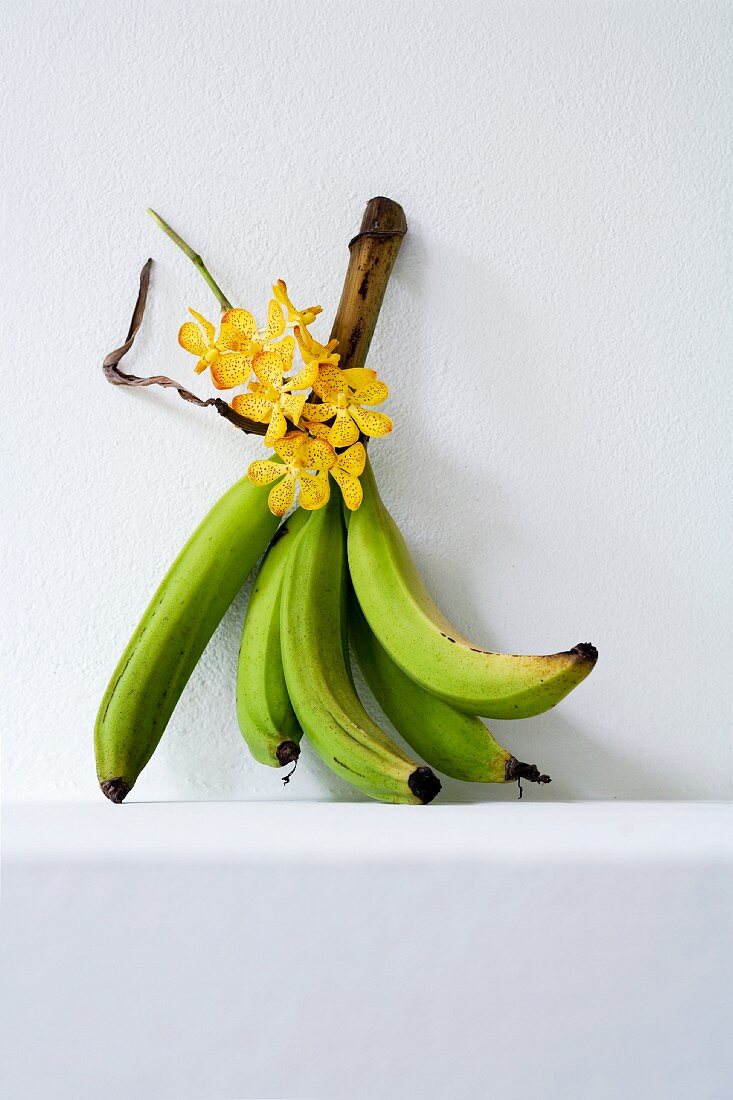 Grüne Bananen und Orchideenblüten