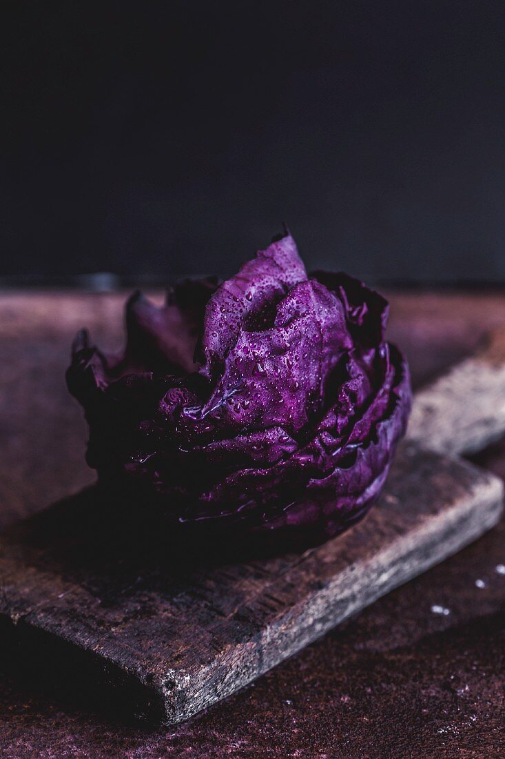 Rotkohl