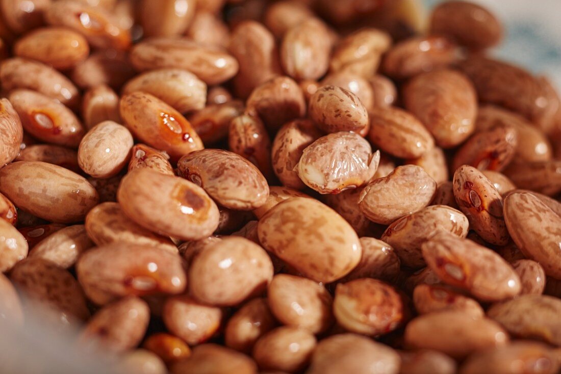 Soaked pinto beans