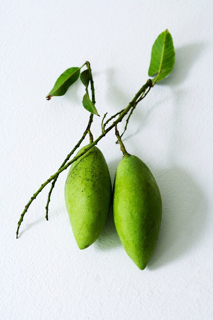 Two green Thai mangos