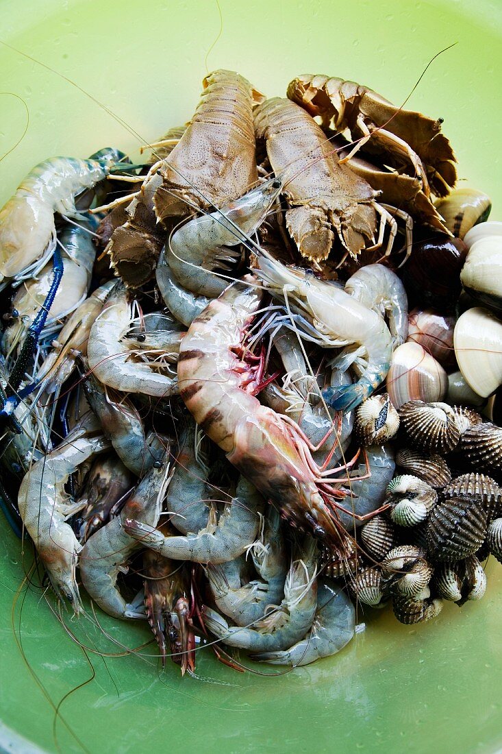 Various types of fresh seafood