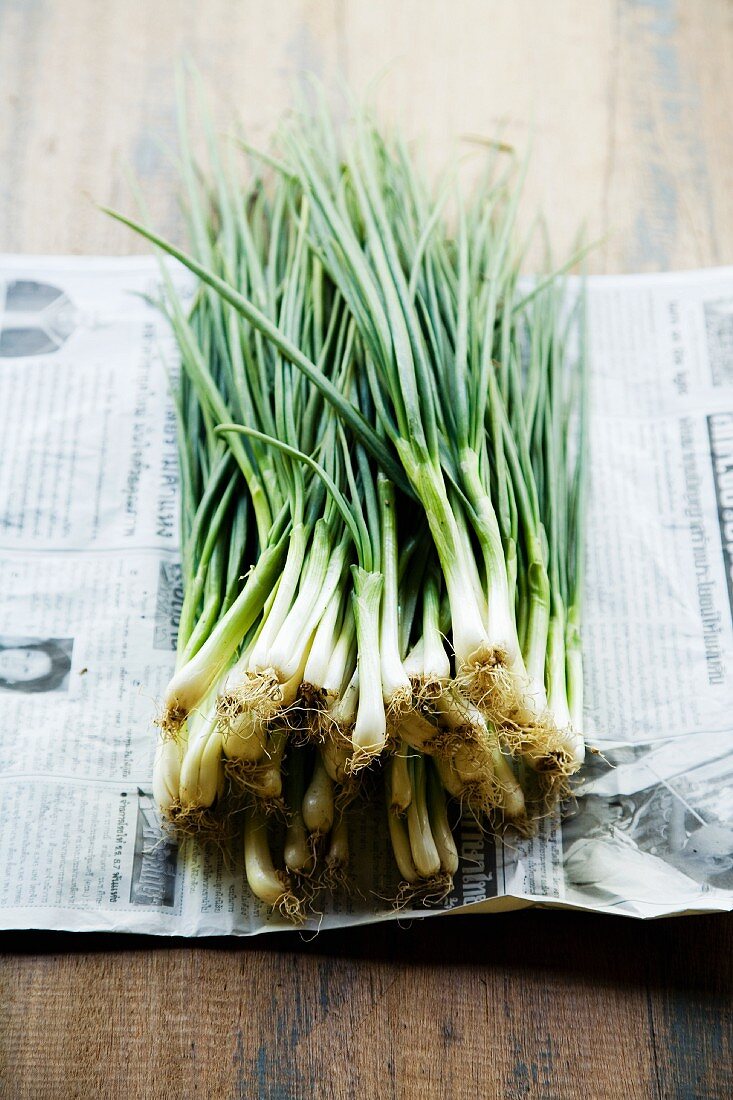 Fresh spring onions on a piece of newspaper