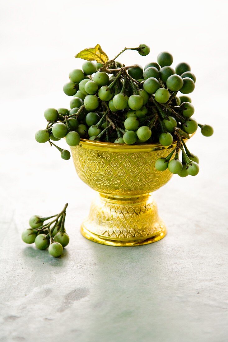 Pea-sized Thai aubergines in a golden goblet