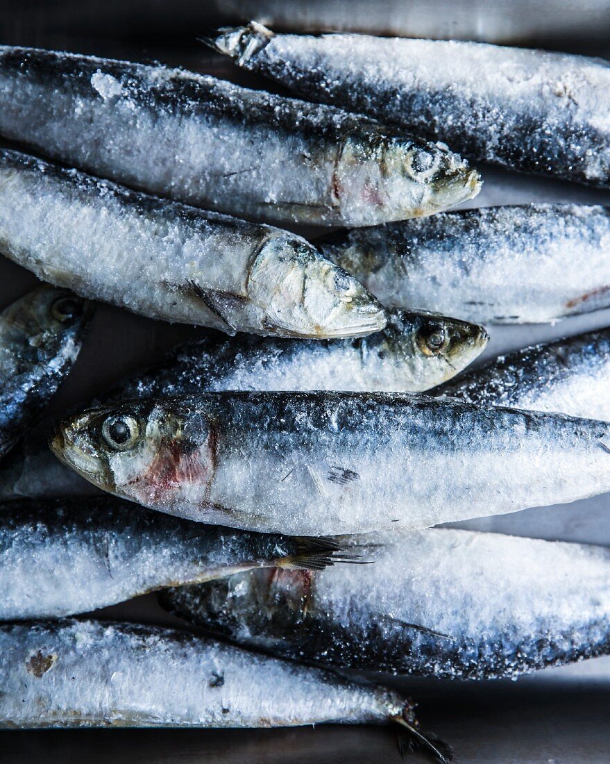 A pile of frozen sardines