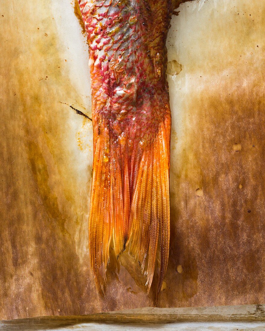 Close-up (Fischschwanz) von einem gebackenen Red Snapper