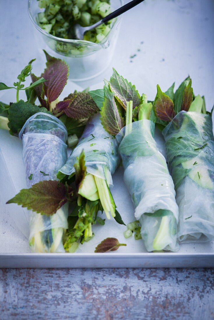 Vegetable spring rolls with avocado and herbs (Asia)