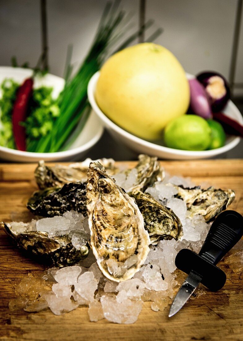 Oysters on ice with an oyster knife