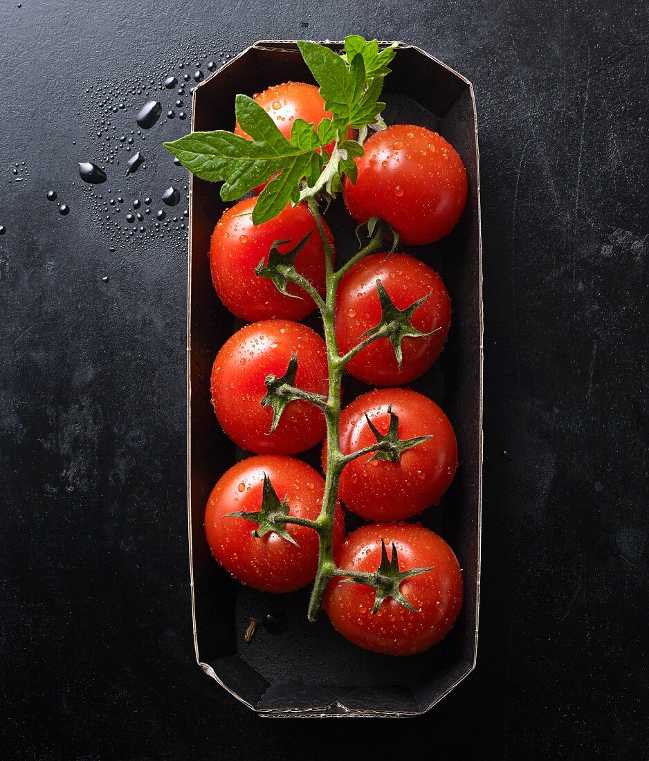 Frische Tomaten mit Blatt in Pappschale