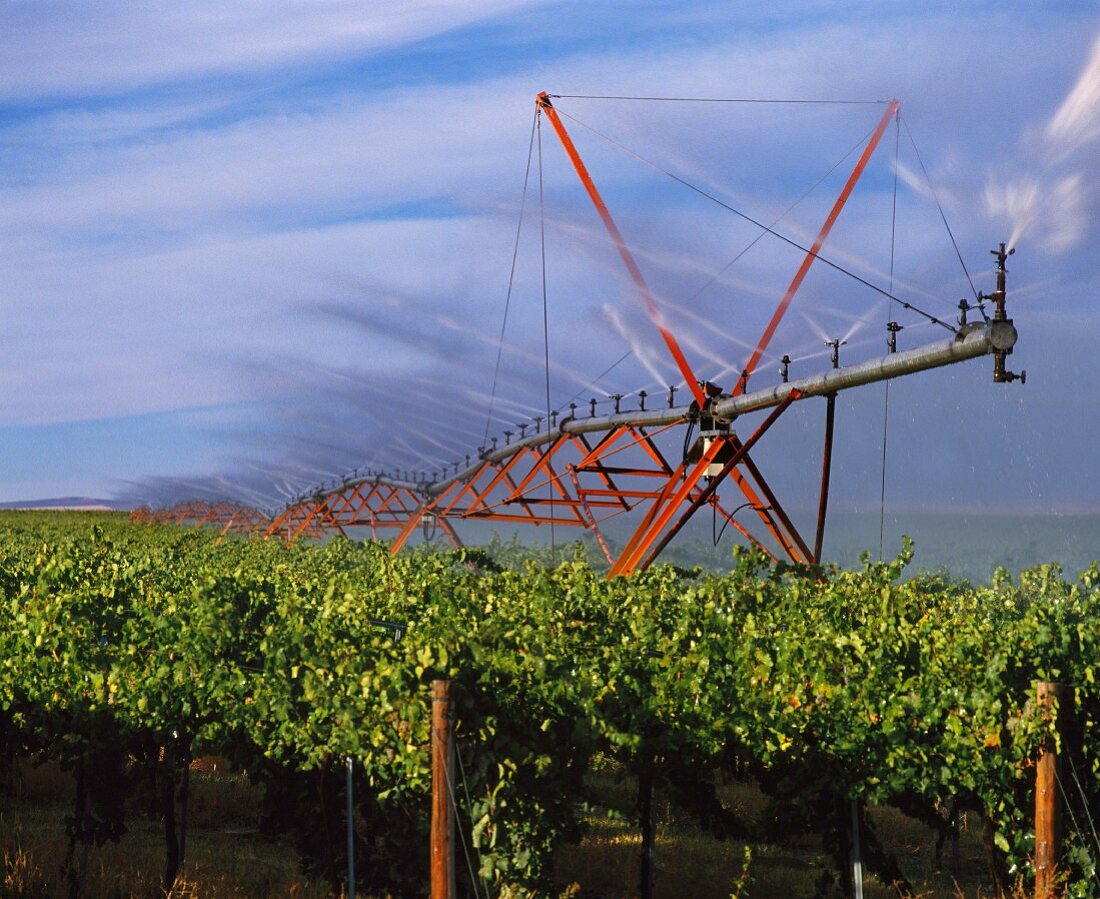 Bewässerungsanlage der Mercer Ranch Vineyards,Washington,USA