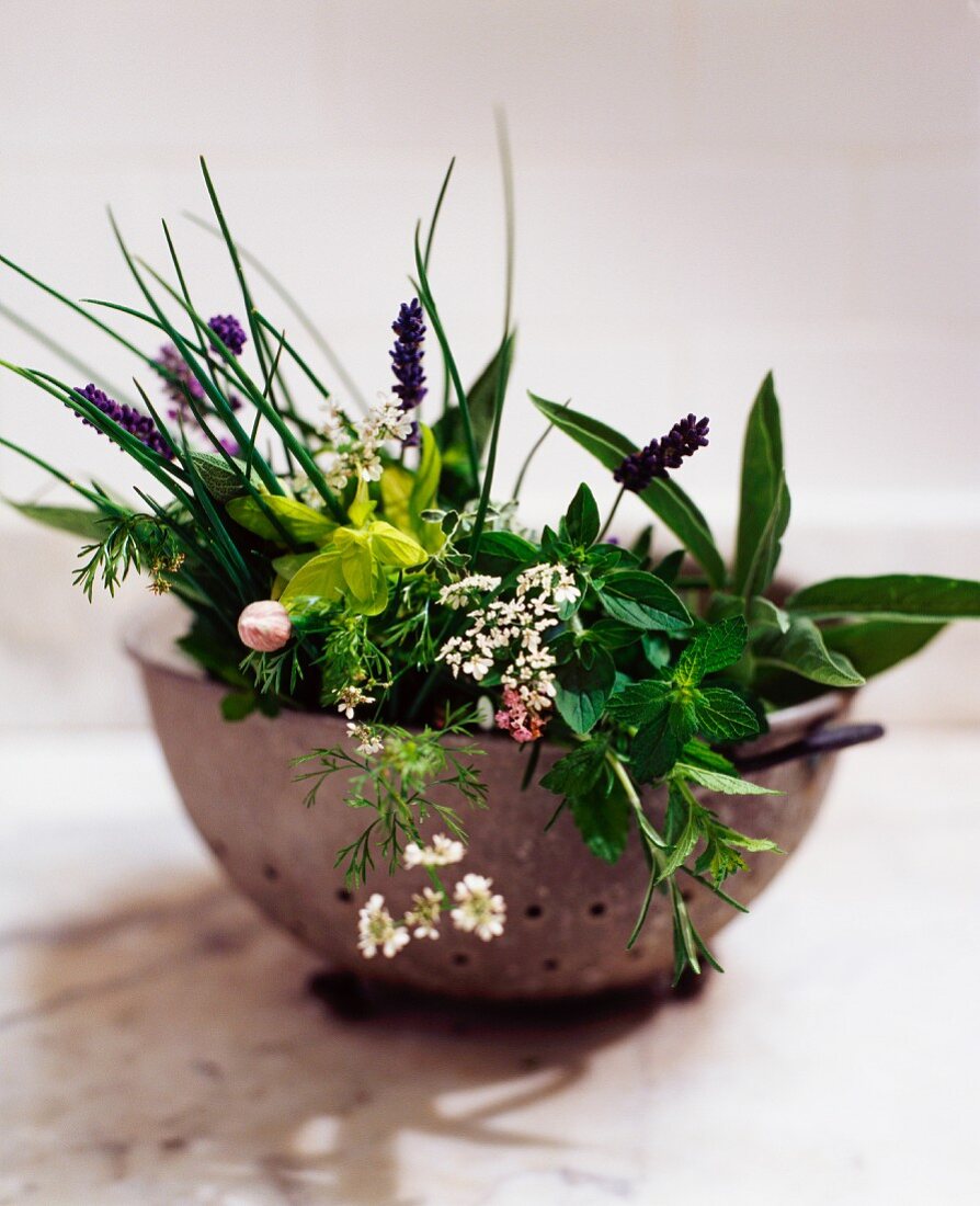 Herbs and herb flowers in a vintage colander