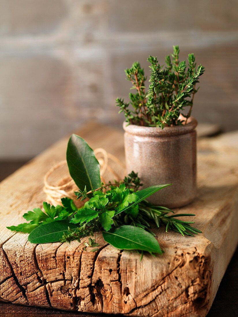 Fresh herbs on a wooden board and in a terracotta pot