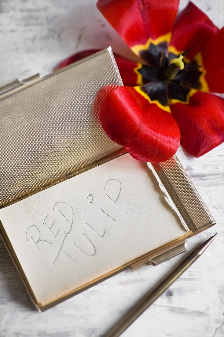 Abreißblock im eleganten Metalletui mit Stift, aufgeblühte rote Tulpe