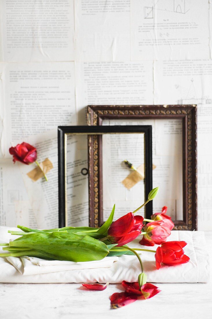 Red tulips in front of old picture frames against wall papered with book pages