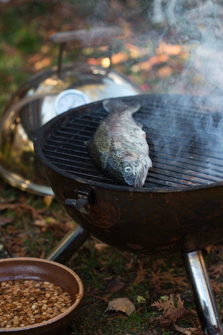 Trout on a barbecue in a garden