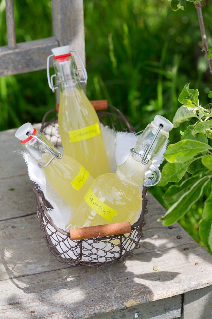 Selbstgemachter Zitronensirup in Bügelflaschen auf Tisch im Freien